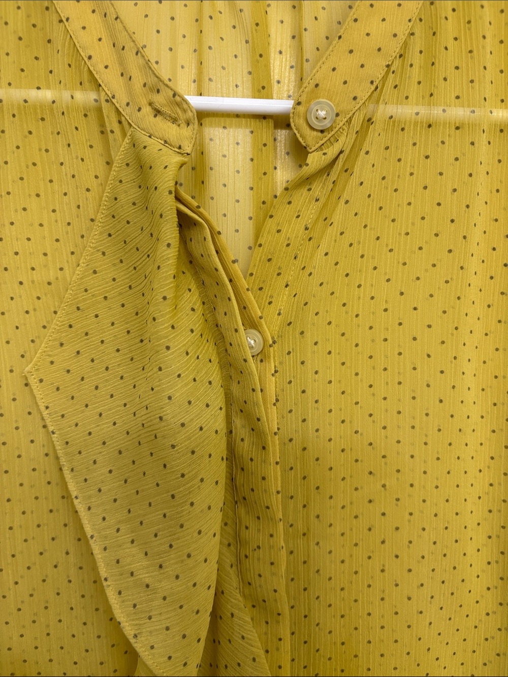 Banana Republic Olive-Yellow Ruffle Button-Front Sheer Blouse - Picture 4 of 9